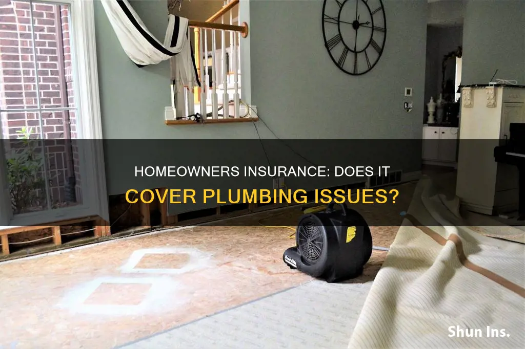 do homeowners insurance cover a c leak