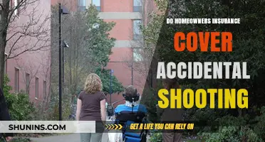 Home Insurance: Accidental Shooting Coverage