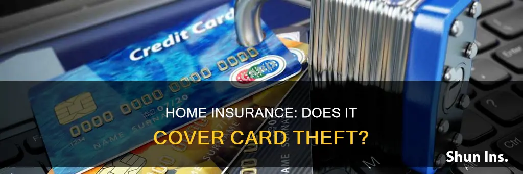 do homeowners insurance cover card theft