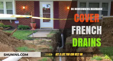 Homeowners Insurance: French Drains Covered?
