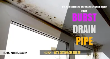 Homeowners Insurance: Does Mold from Burst Pipes Get Covered?