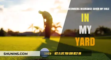 Homeowners Insurance: Yard Holes Covered?