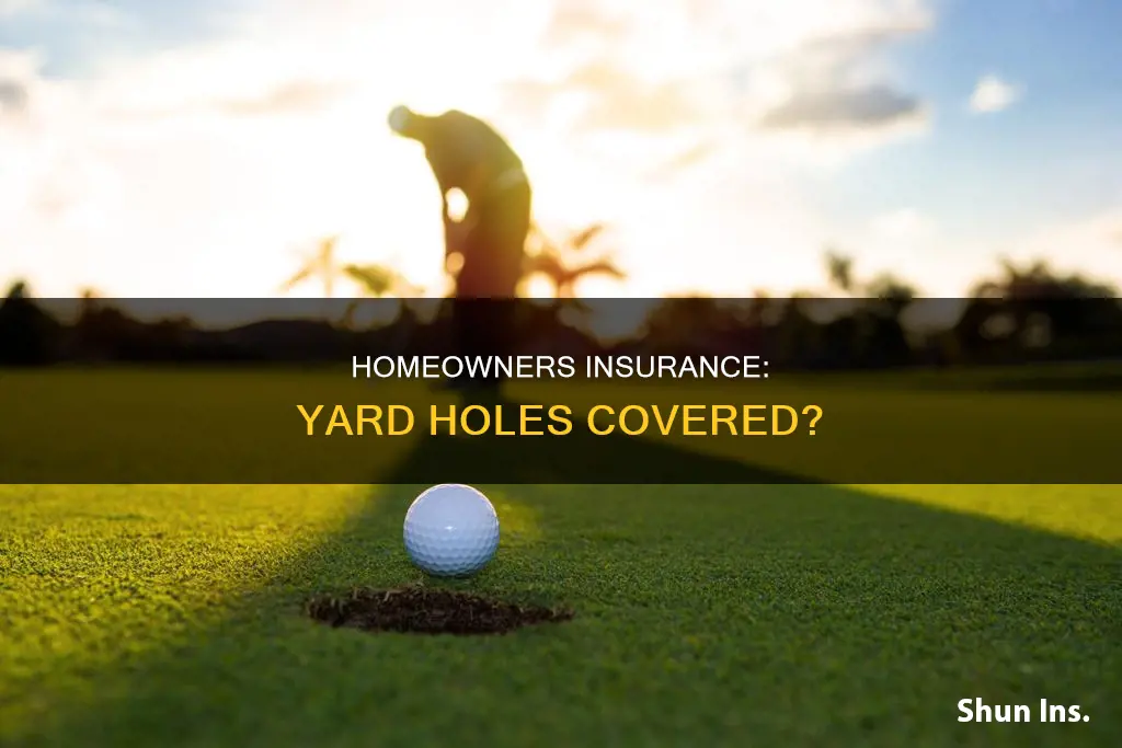 do homeowners insurance cover my hole in my yard