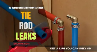 Homeowners Insurance: Tie Rod Leak Coverage?