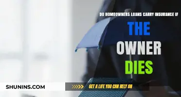 Homeowner Loans: What Insurance Covers If You Die?