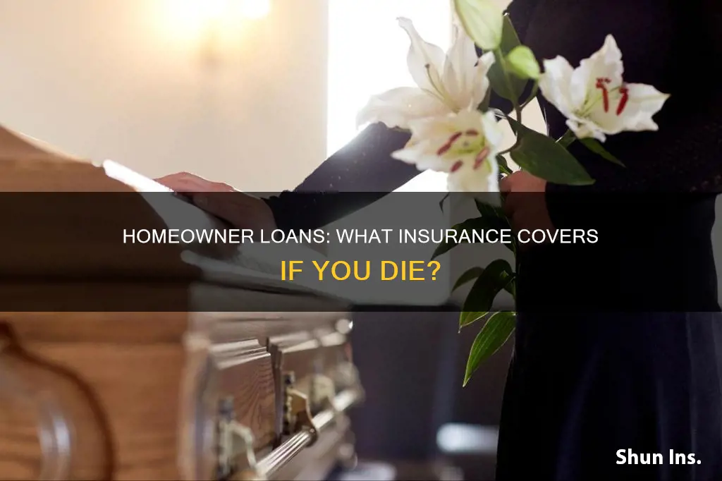 do homeowners loans carry insurance if the owner dies