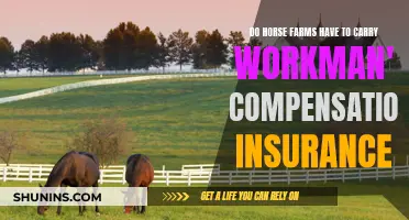 Horse Farms: Workman's Comp Insurance Necessity