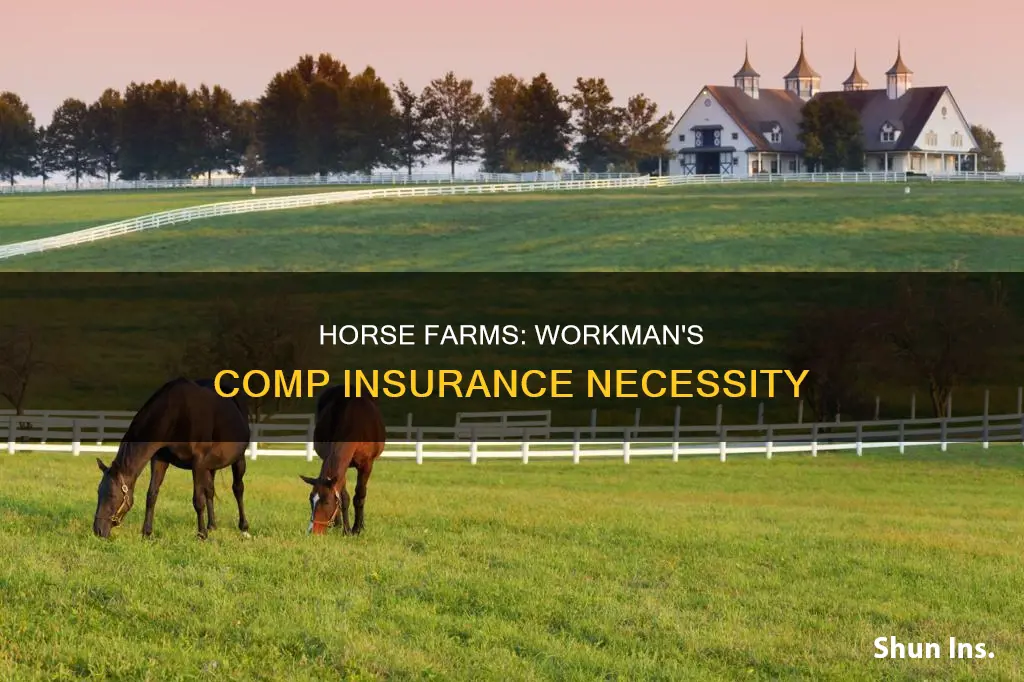 do horse farms have to carry workman