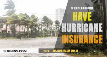 Florida Homes: Hurricane Insurance Essential