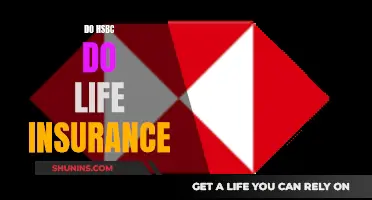 Life Insurance: HSBC's Offerings and Your Options