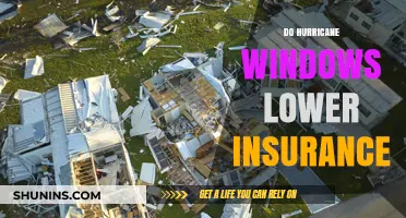 Hurricane Windows: Can They Reduce Your Home Insurance Premiums?