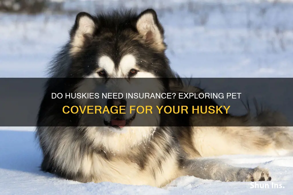 do husky a insurance