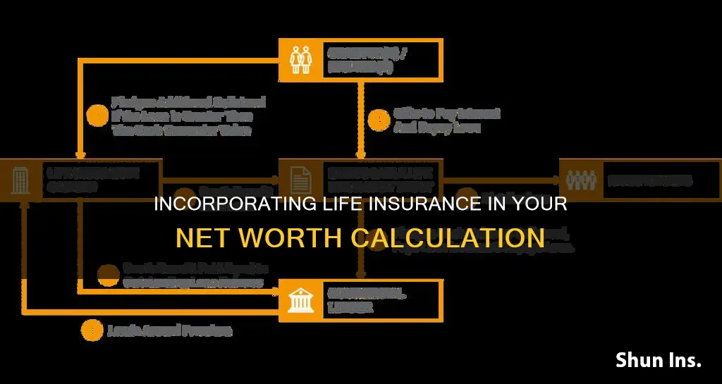 do I calculate life insurance in networth