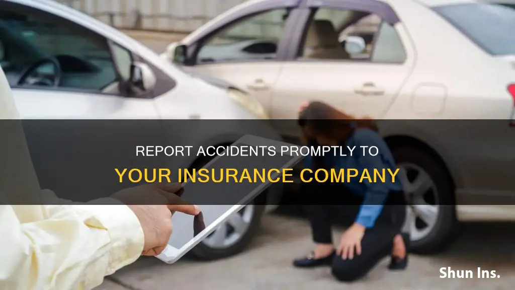do I call insurance the day of accident