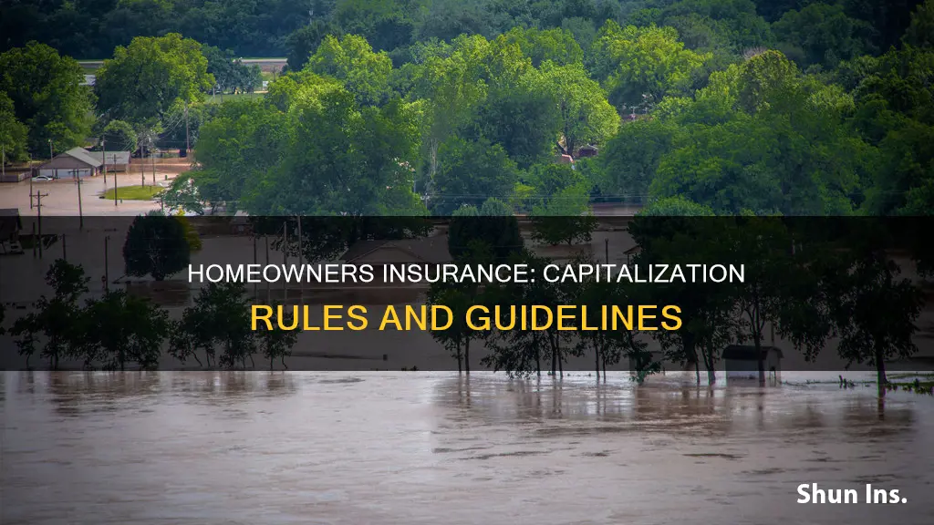do I capitalize homeowners insurance