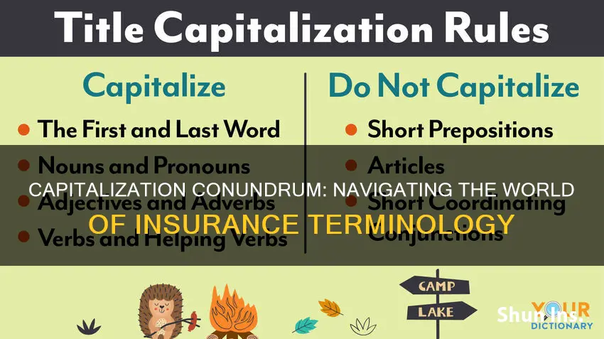 do I capitalize insurance terms