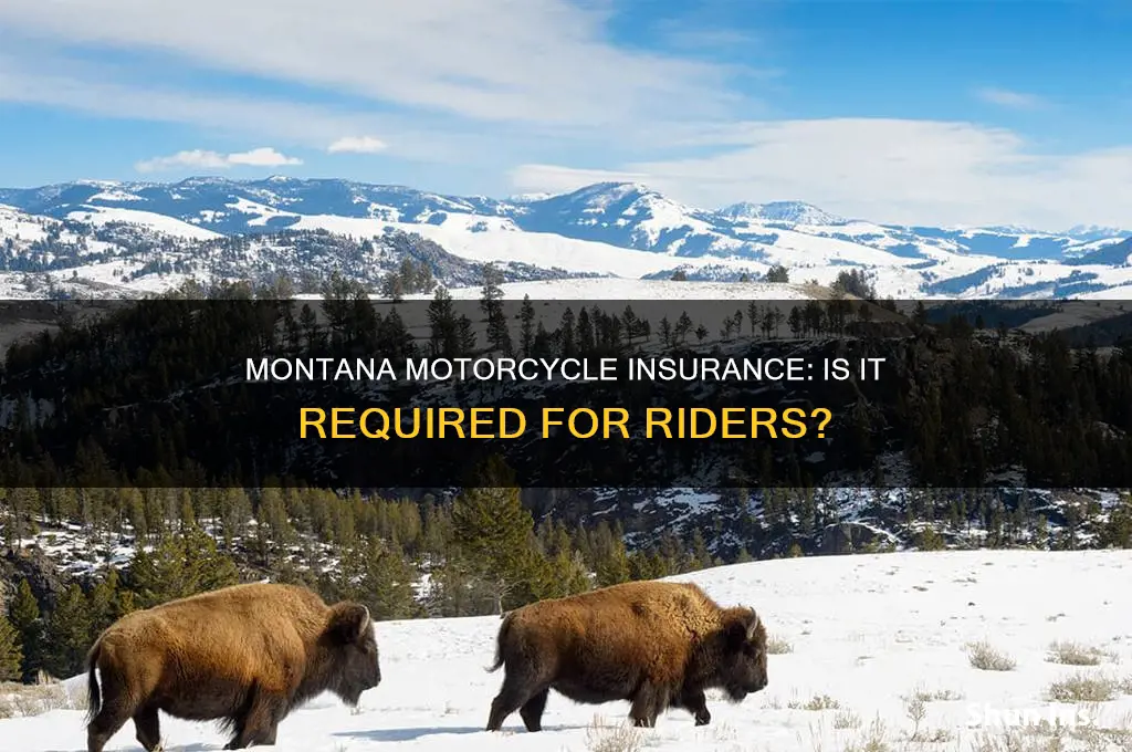 do i gave to have motorcycle insurance in montana