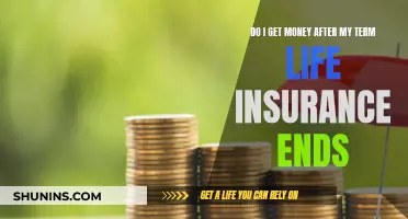 Term Life Insurance: What Happens to Your Money?