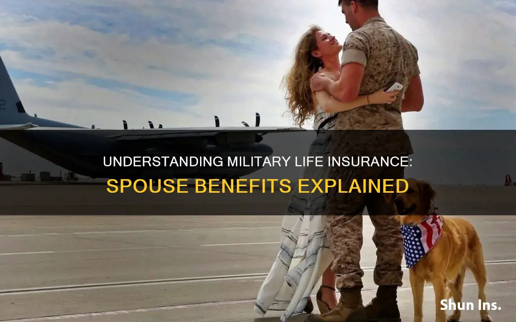 do I get spouses military life insurance