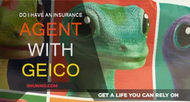 How to Find Your GEICO Insurance Agent