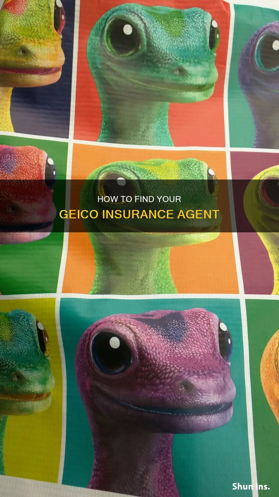 do I have an insurance agent with geico