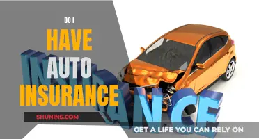 Auto Insurance: Am I Covered?