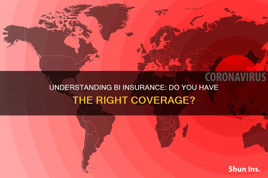 do i have bi insurance