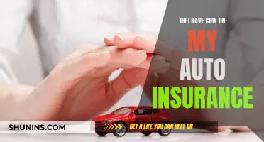 Understanding CDW Auto Insurance Coverage: Are You Protected?