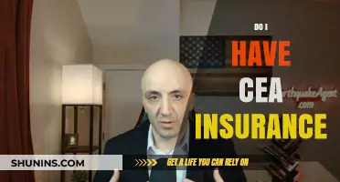 Understanding CEA Insurance: Do You Have the Right Coverage?