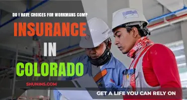 Exploring Your Options: Workman's Comp Insurance Choices in Colorado