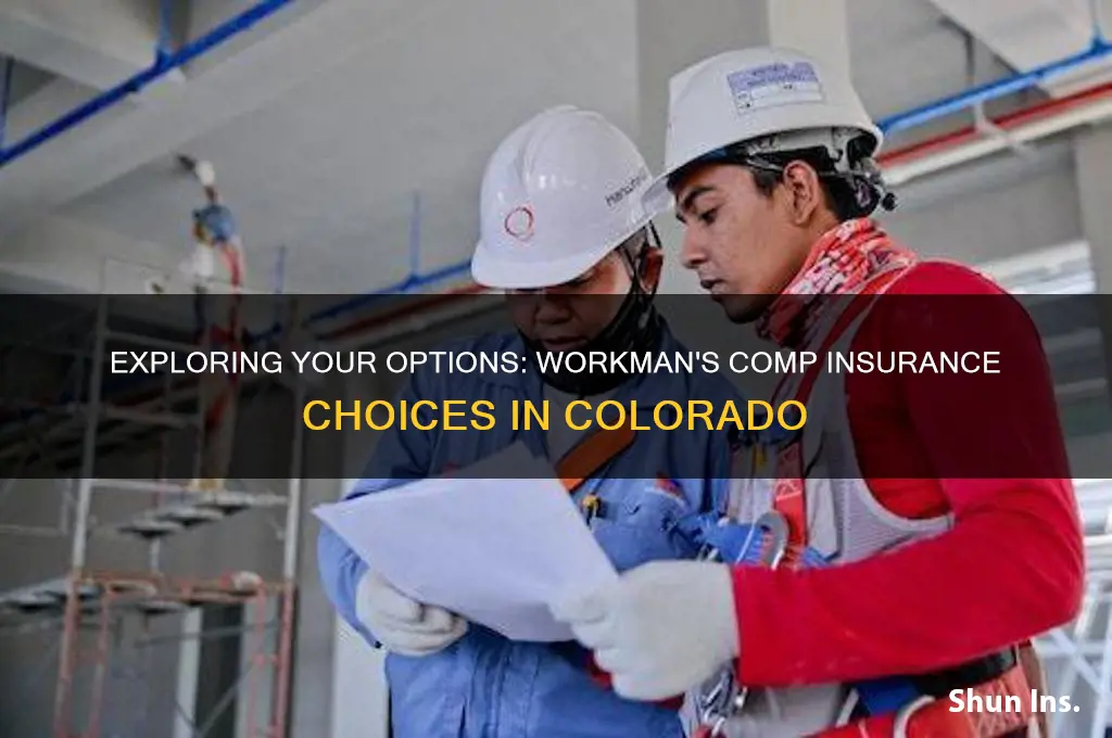 do i have choices for workmans comp insurance in colorado