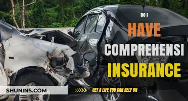 Comprehensive Insurance: Do You Need It?