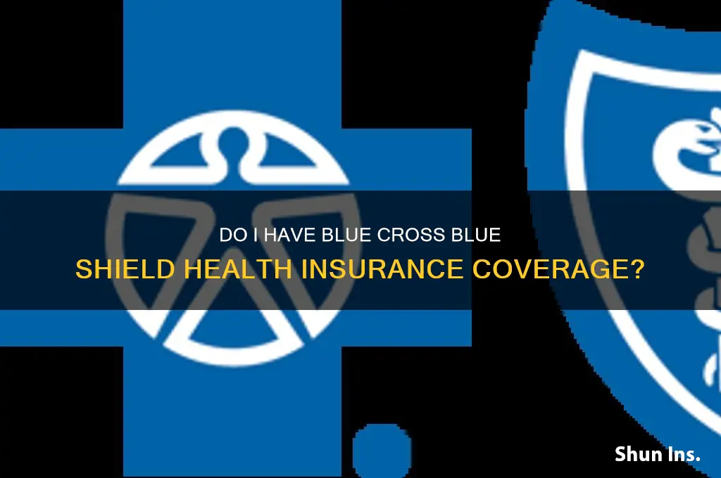 do i have health insurance blue cross blue shield