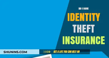 Do I Have Identity Theft Insurance? What You Need to Know
