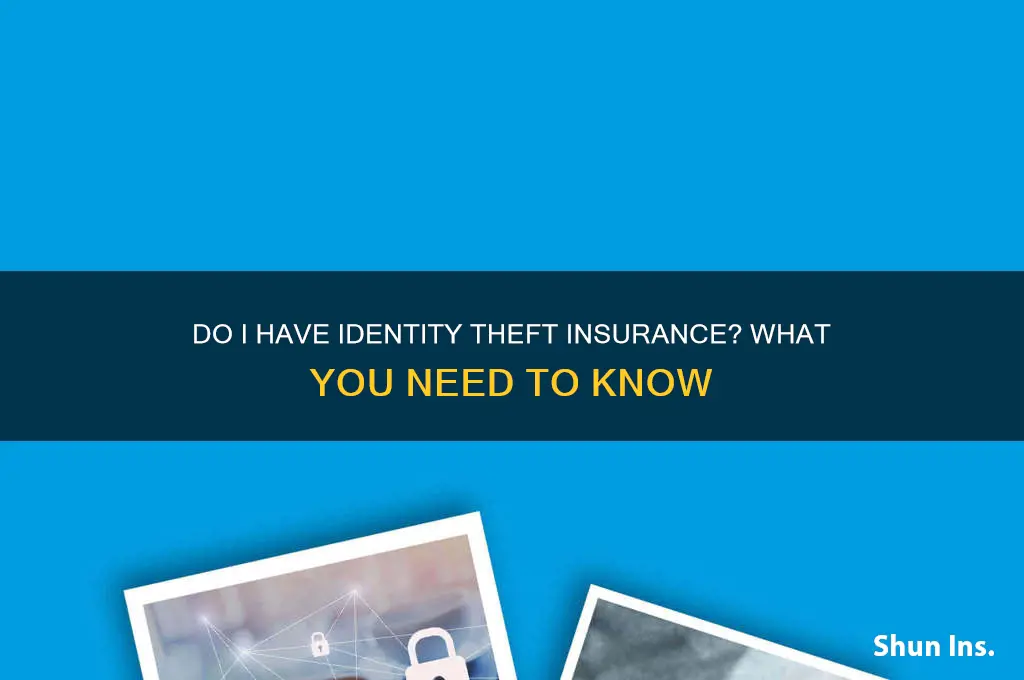 do i have identity theft insurance