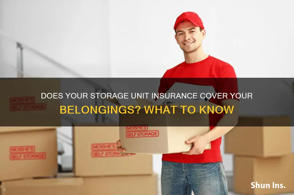 do i have insurance on items in a storage unit