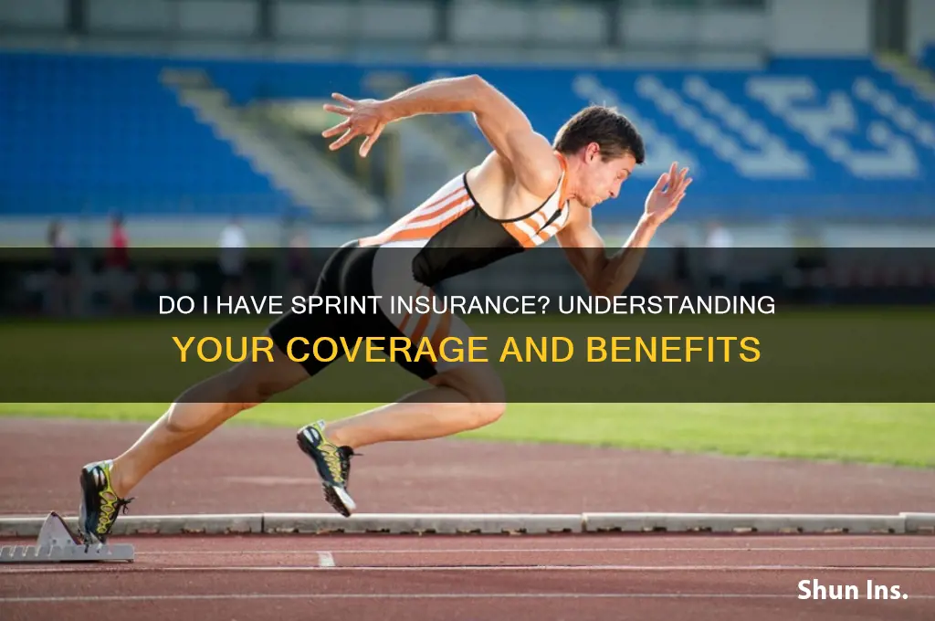 do i have insurance sprint