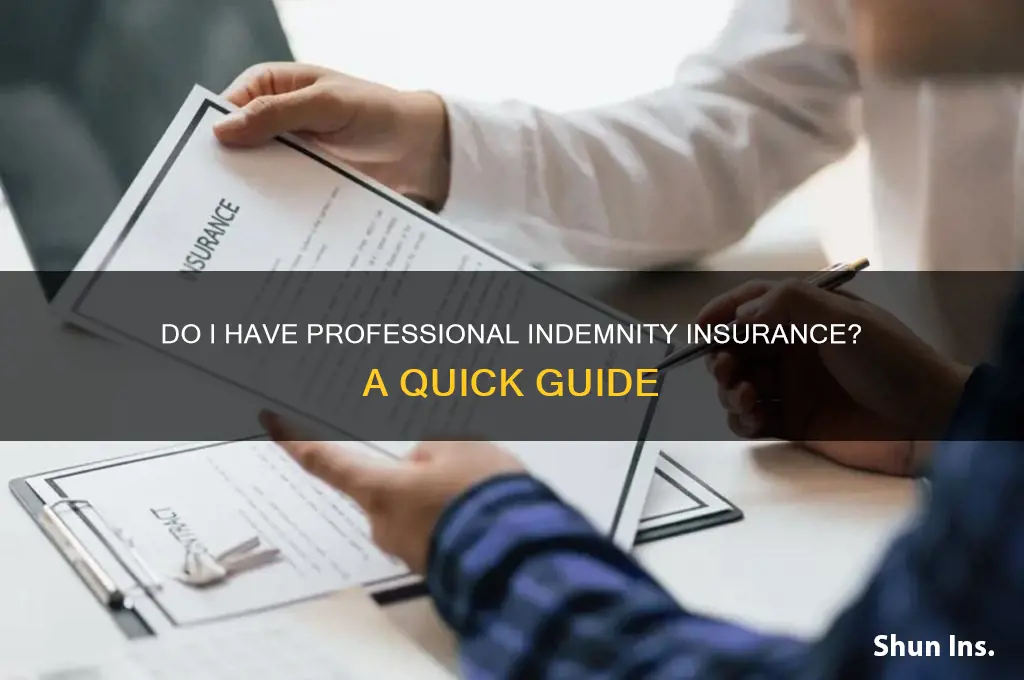 do i have professional indemnity insurance