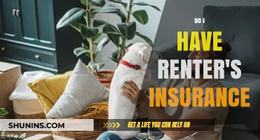 Do I Have Renter's Insurance? Understanding Your Coverage and Protection