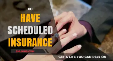 Understanding Scheduled Insurance: Do You Have Adequate Coverage for Valuables?