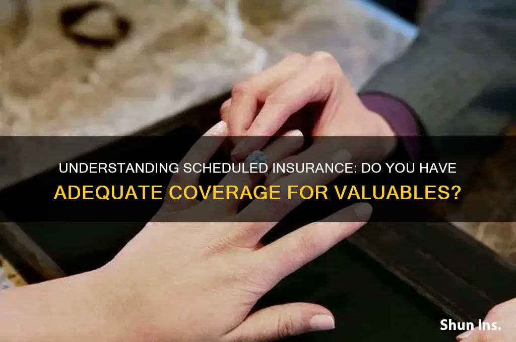do i have scheduled insurance