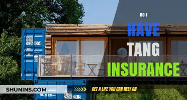 Understanding Tang Insurance: Do You Have the Right Coverage?