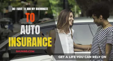 Roommate, Auto Insurance, and You: Understanding the Link