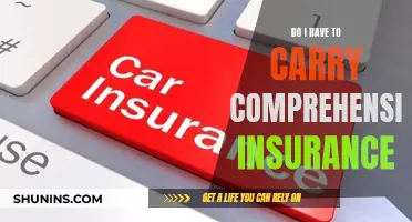 Comprehensive Insurance: When to Carry It