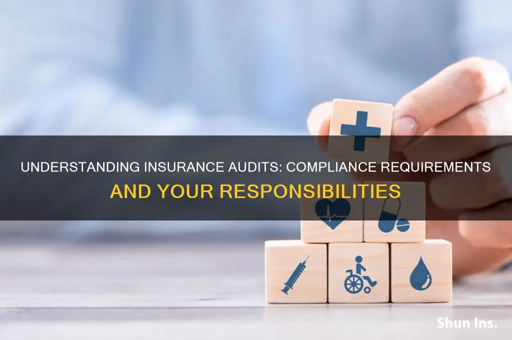 do i have to comply with an insurance audit
