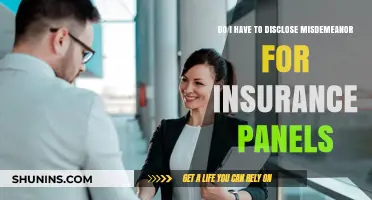 Disclosing Misdemeanors for Insurance Panels: What You Need to Know