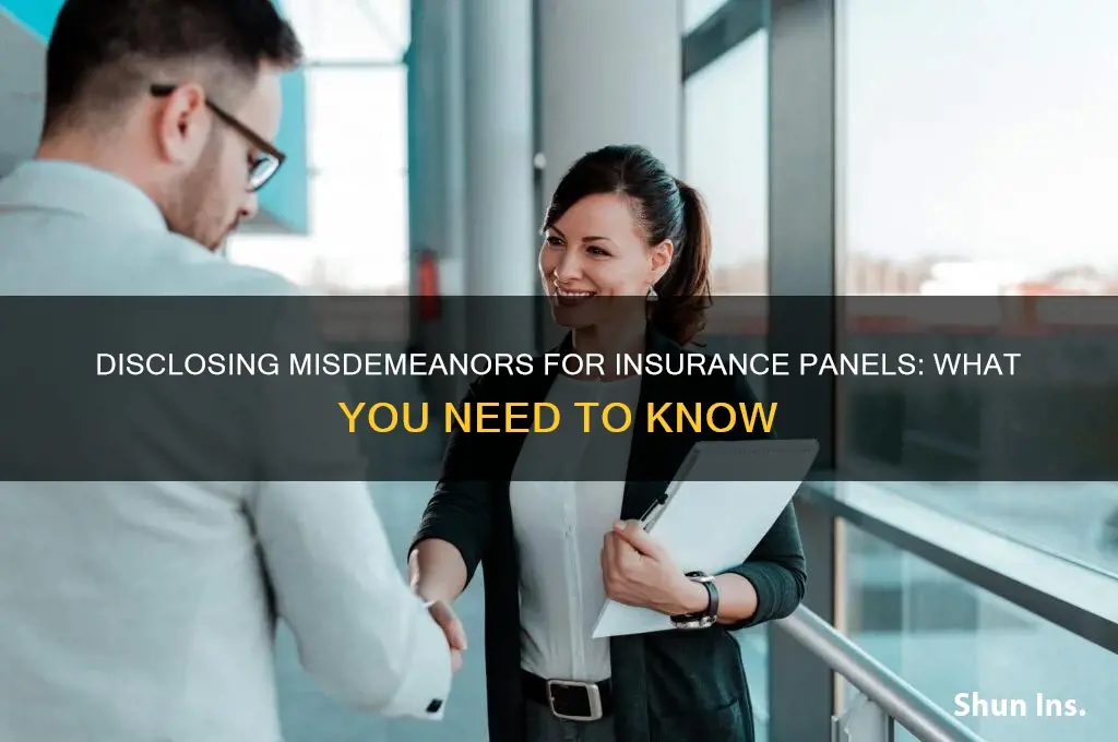 do i have to disclose misdemeanor for insurance panels