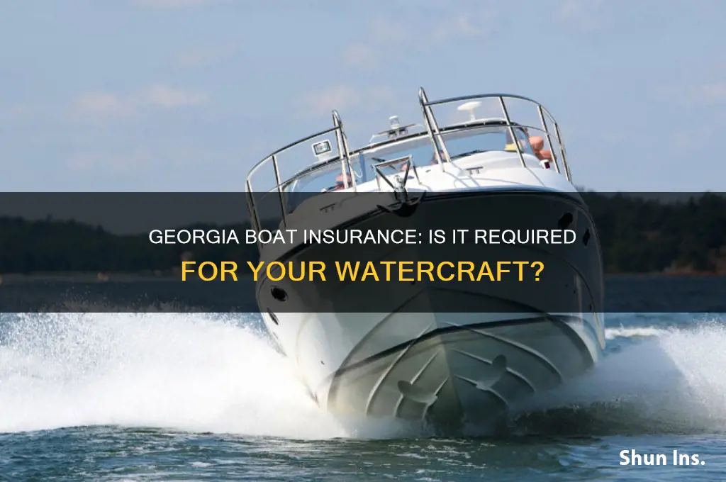 do i have to have boat insurance in georgia