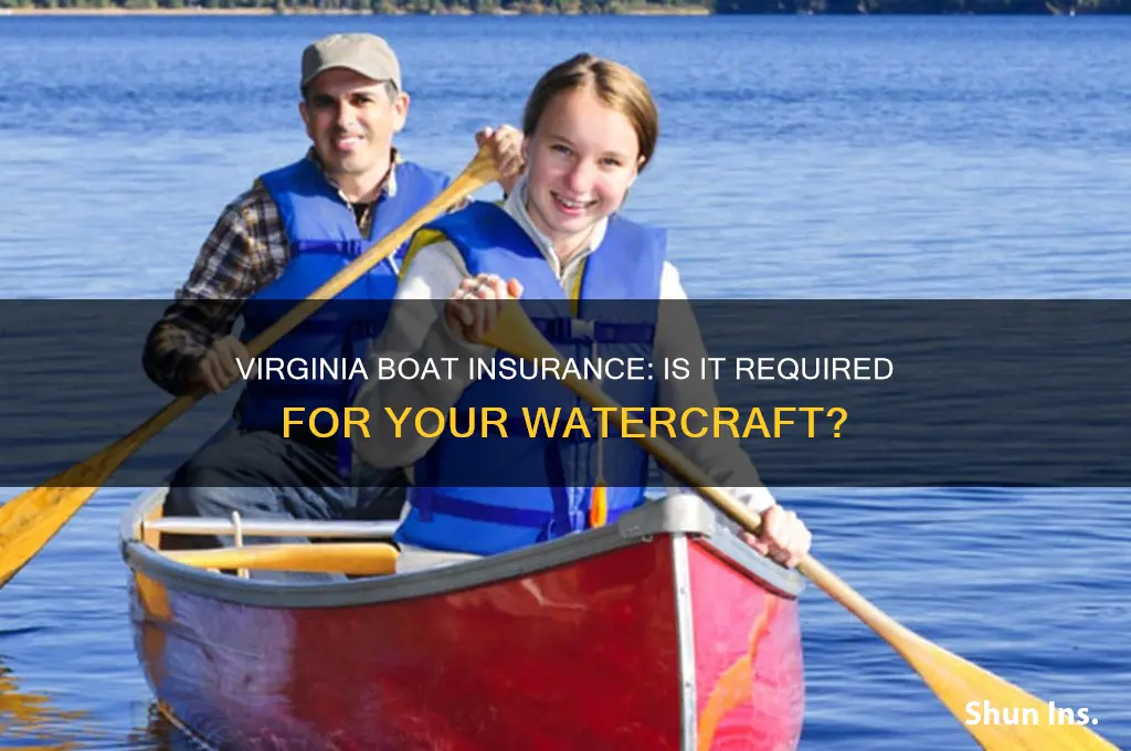 do i have to have boat insurance in virginia