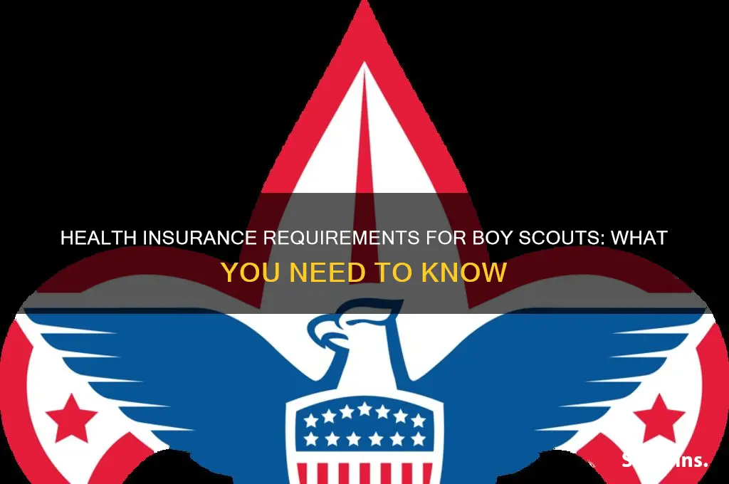 do i have to have health insurance in boy scouts